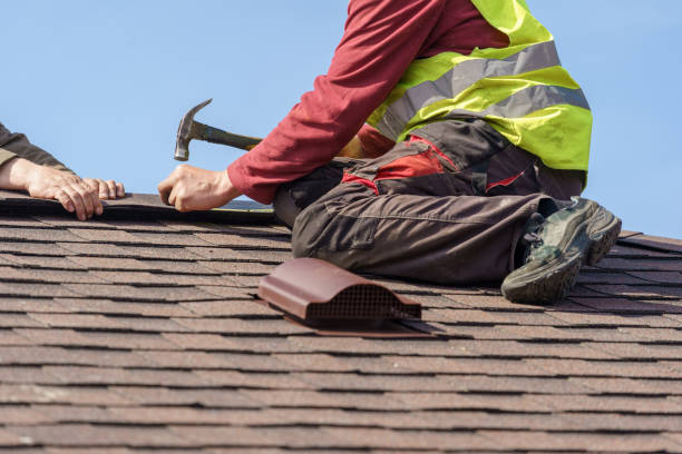 Best Storm Damage Roof Repair  in Lacoochee, FL