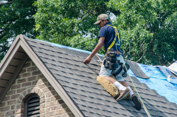 Quick and Trustworthy Emergency Roof Repair Services in Lacoochee, FL
